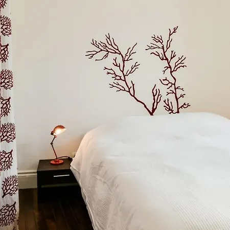 Lägenhet Appartement Front D'Ocean Coeur De Ville Biarritz *